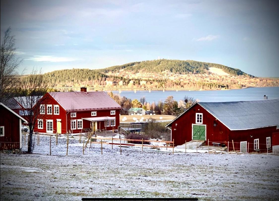 Scenic Small Guesthouse On Horse Farm By The Lake Frösö Eksteriør billede