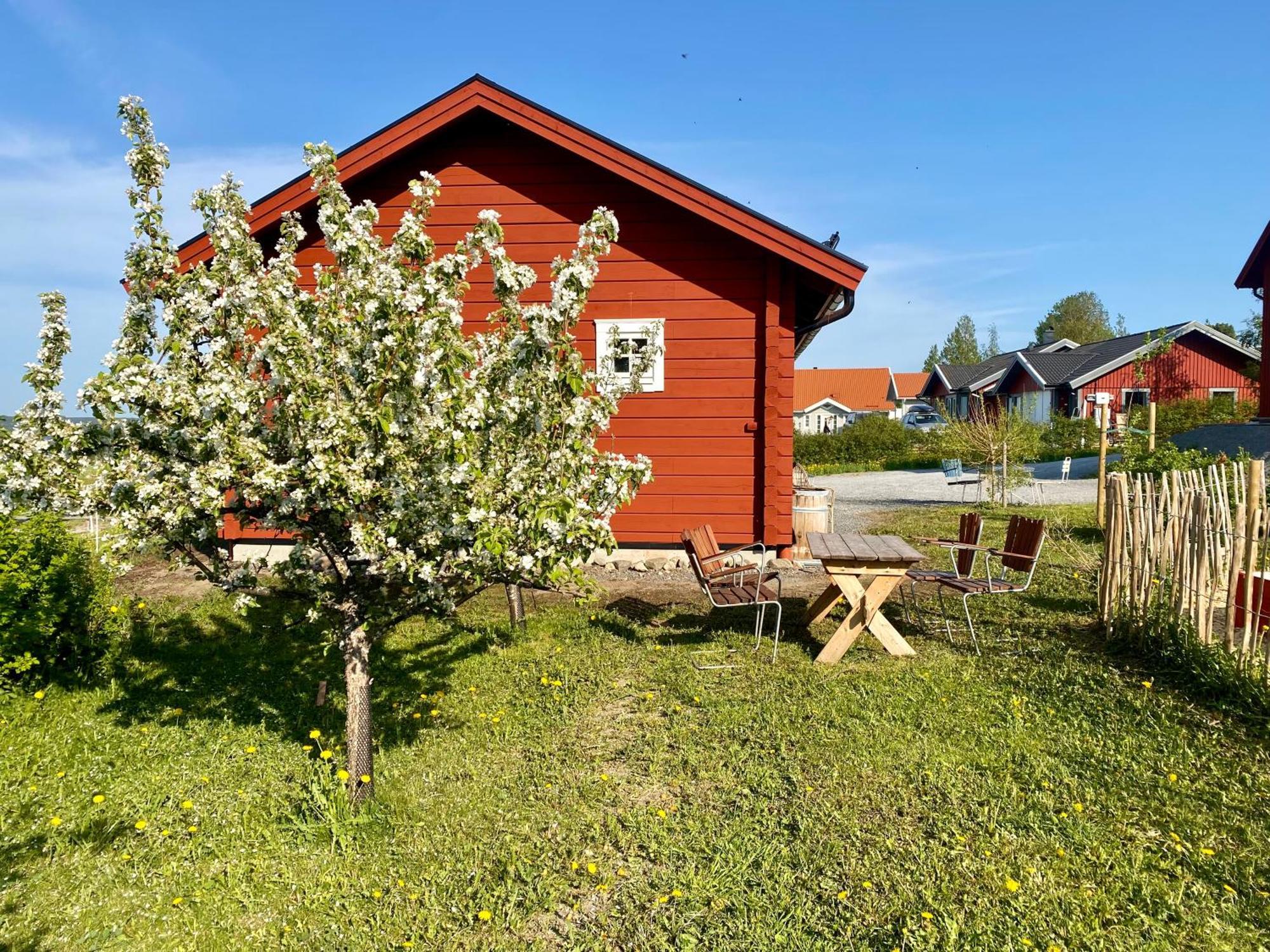 Scenic Small Guesthouse On Horse Farm By The Lake Frösö Eksteriør billede